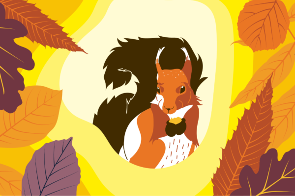 LaKanopée_Cover_Aurore