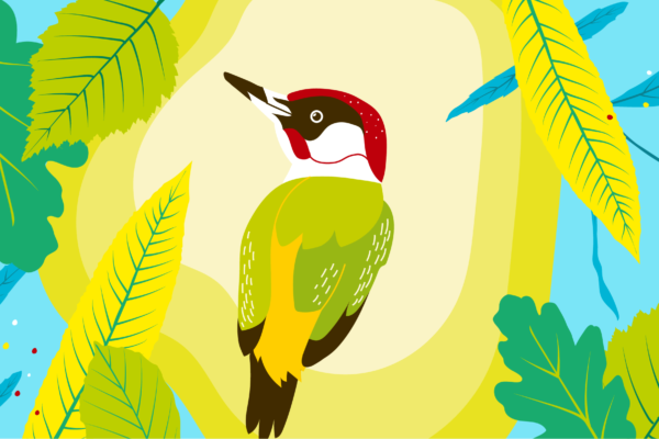 LaKanopée_Cover_Equinoxe