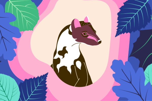 LaKanopée_Cover_Noctambule